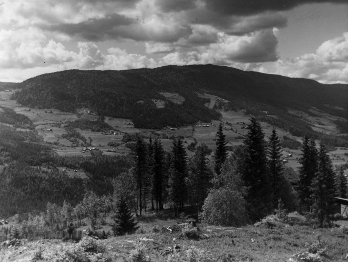 Anders Beer Wilse, Fra Breidablikk Mot Bagn Valdres