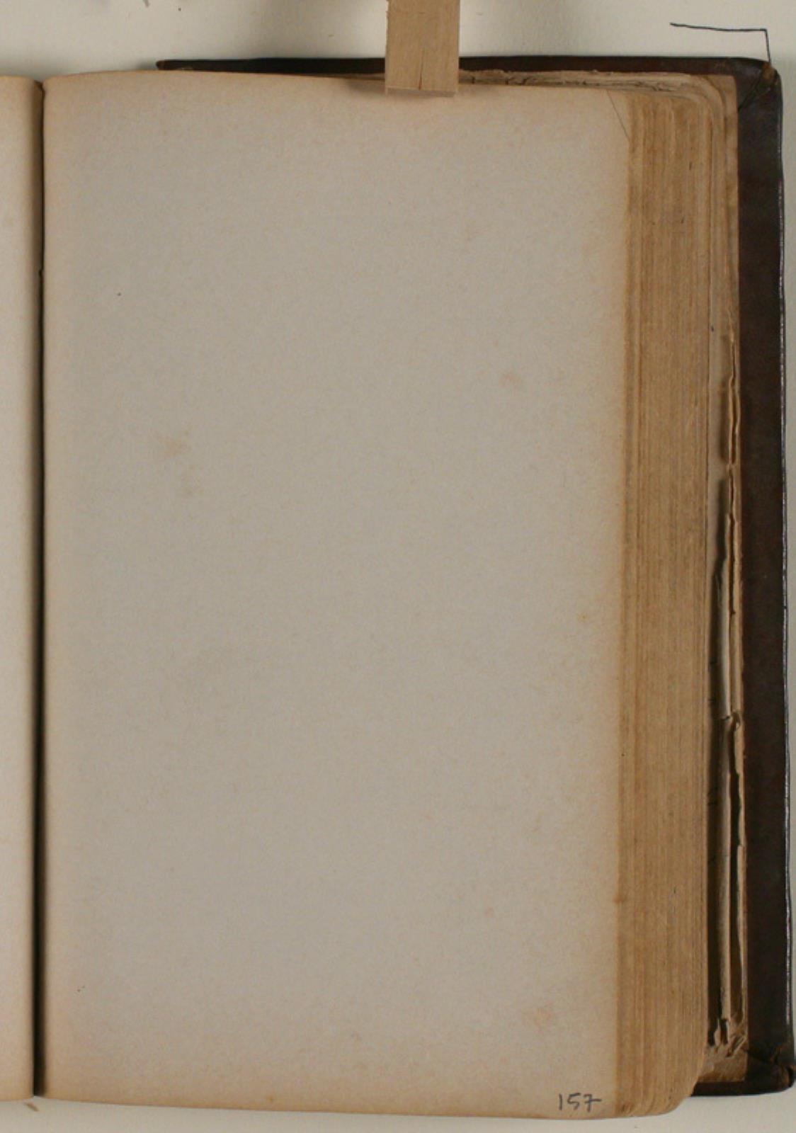 Niels Larsen Stevns, Blank