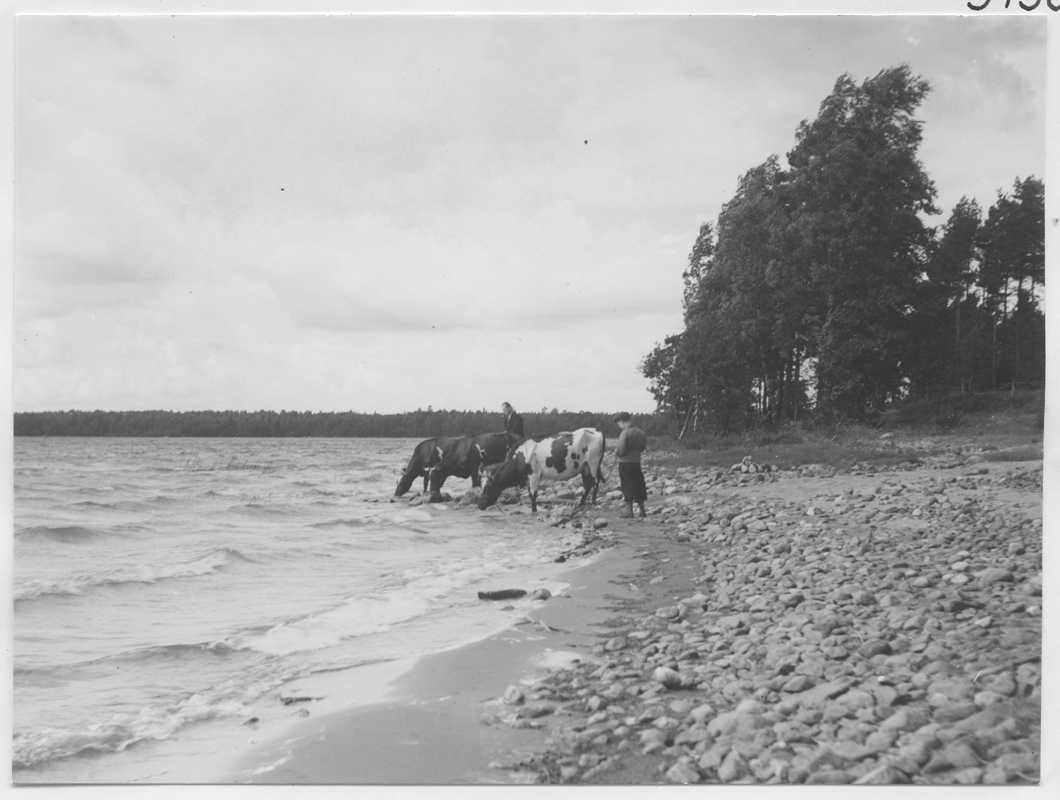 Mårten Sjöbeck, Sjön Furen