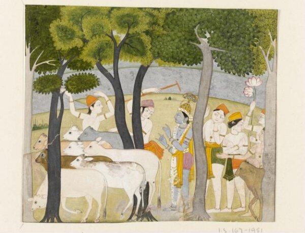 Unknown, Krishna