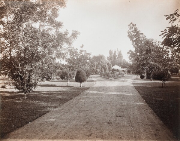 Carleton Watkins, Greenfields Ranch