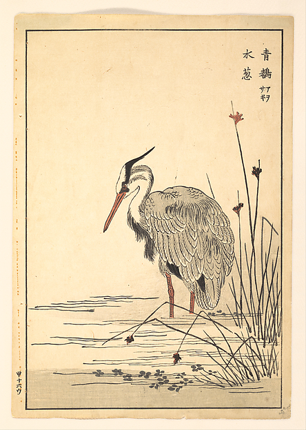 Unidentified artist, Gray Heron (Aosagi) and Mizu-aoi Plant