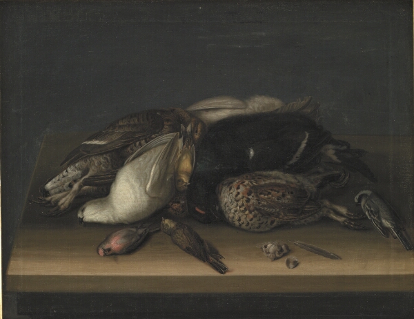 Jacob Biltius, Fuglevildt på et træbord