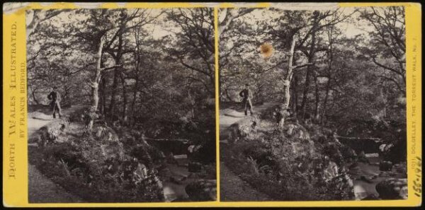 Francis Bedford, Dolgelley - The Torrent Walk, no7