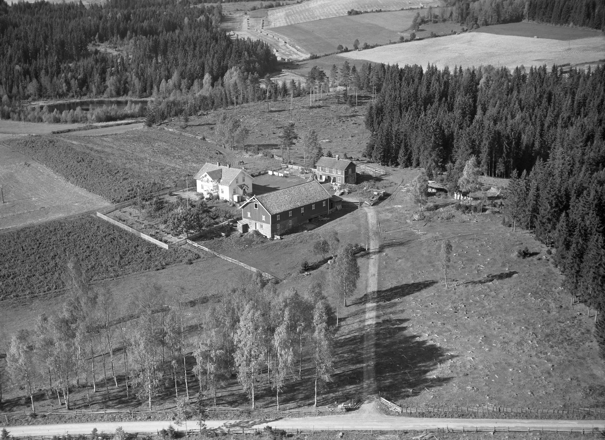 Anno Domkirkeodden, Flyfoto, gardsbruk, Alhaug, Nes, Hedmark.
