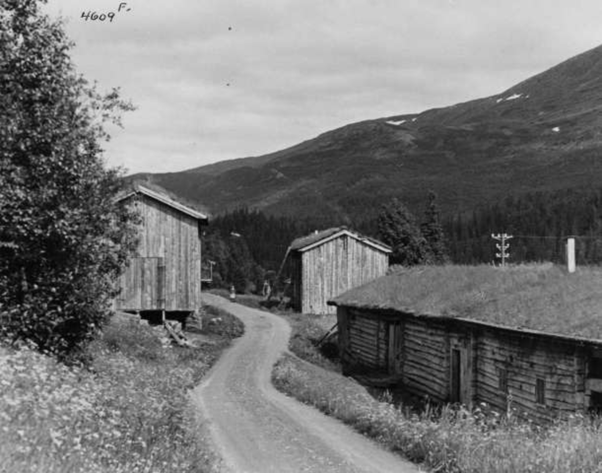 Anders Beer Wilse, -6473