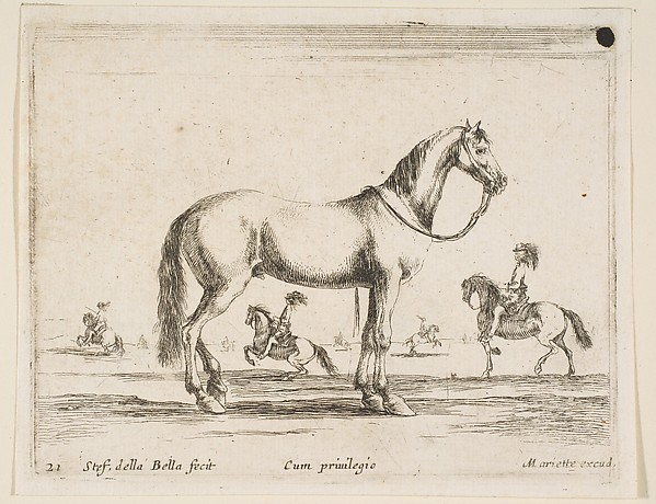 Stefano della Bella, Horse, plate 21 from "Various Animals" (Diversi Animali)