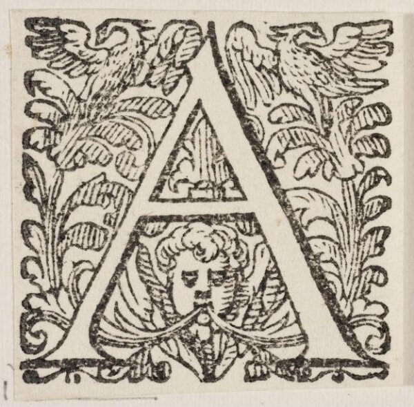Unknown, Print