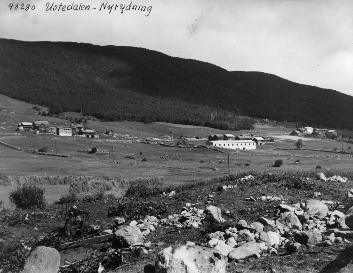Anders Beer Wilse, Ustedalen, Landbruk, Nybrott