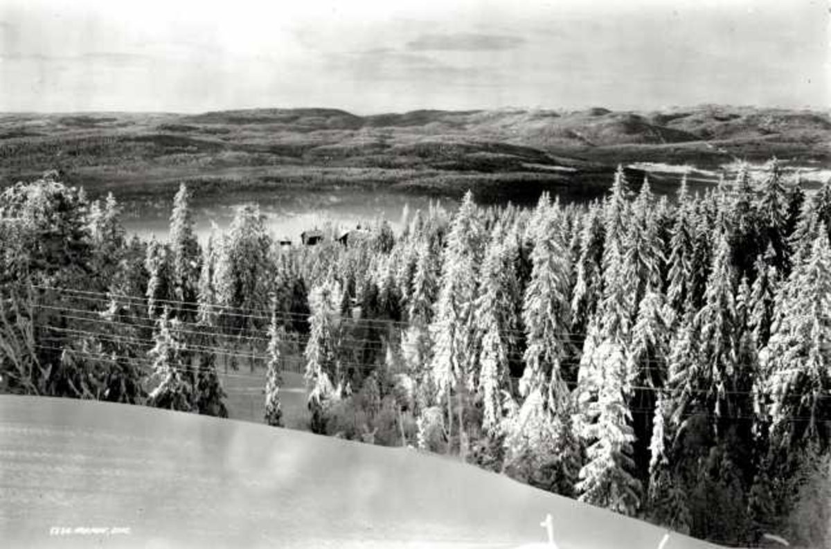 Hermann Christian Neupert, Nordmarka, Oslo. Utsikt over vinterlandskap. Åser og fjell i bakgrunnen.