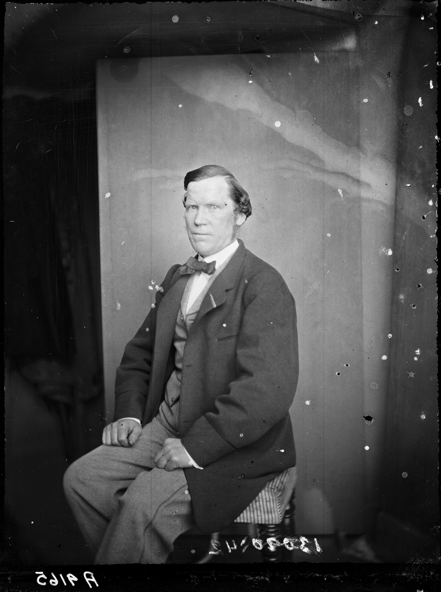 Carl Curman, Mansporträtt