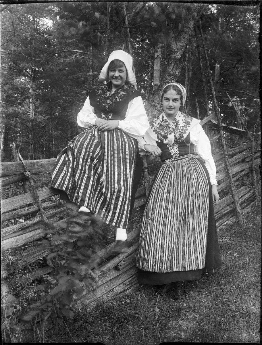 Okänd,, Women in Folk costume at a Deed Farm, Dalarna