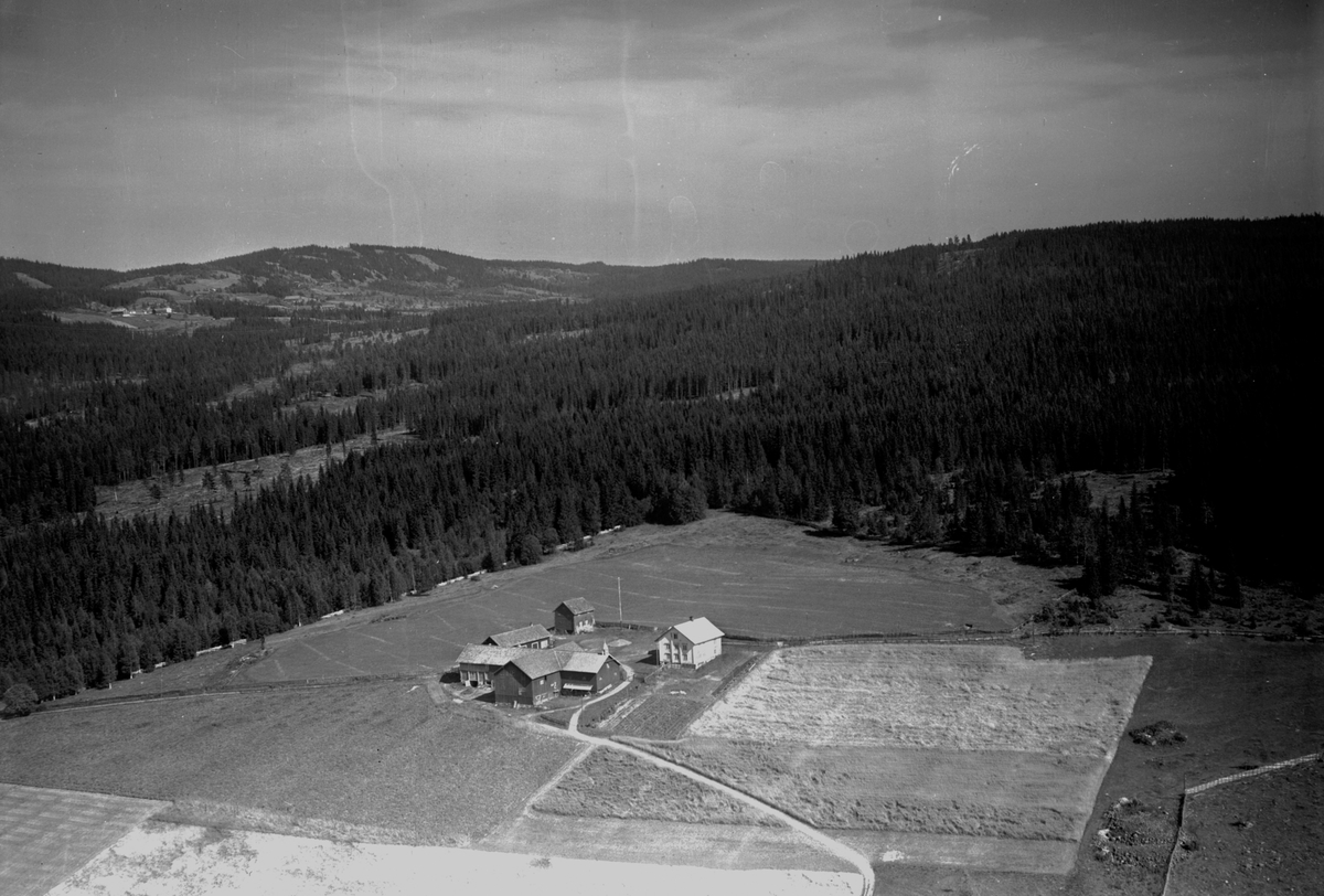 Anno Domkirkeodden, Flyfot av Kvisla gard, Næroset, Ringsaker.