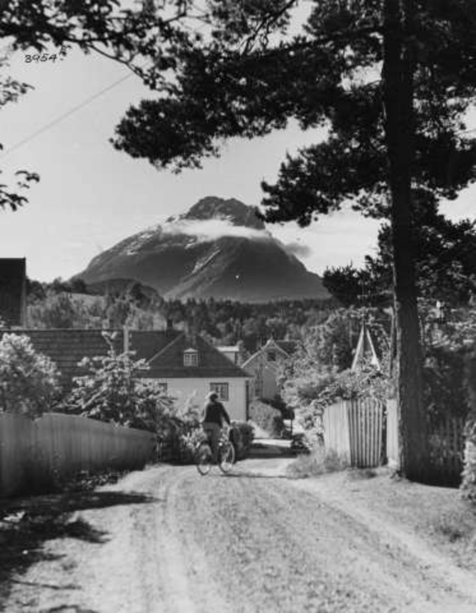 Anders Beer Wilse, -6958