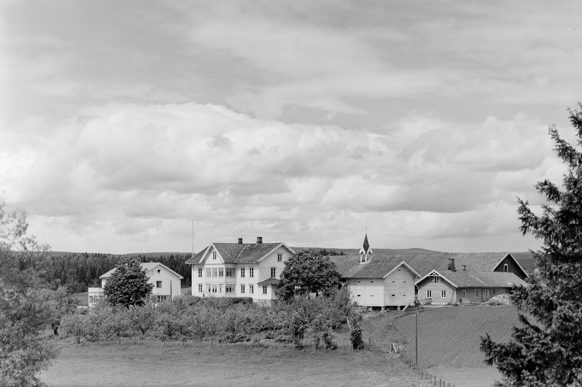 Anno Domkirkeodden, EKSTR: GARDSTUN, STOR HOVEDBYGNING, FØRÅDSBYGNING, STABBUR, UTHUS, DRENGSTUE? LÅVE, UKJENT GÅRD, IKKE FUNNET LØTENBØKENE