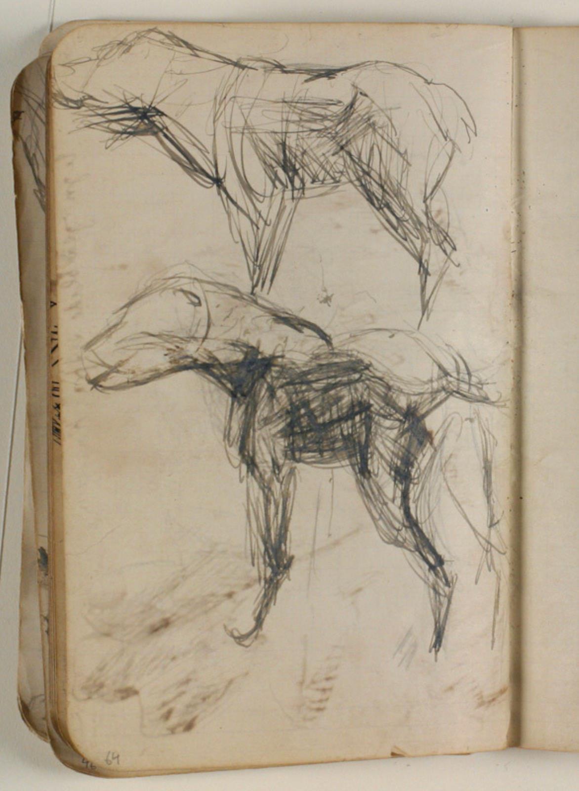 Niels Larsen Stevns, Skitser af hunde
