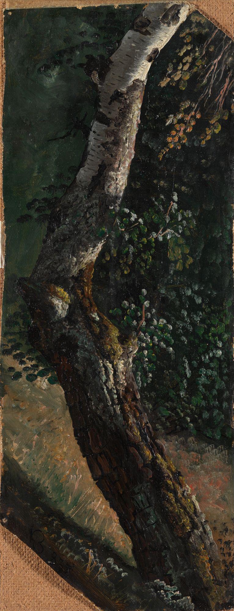 Knud Baade, Study of a Birch Tree