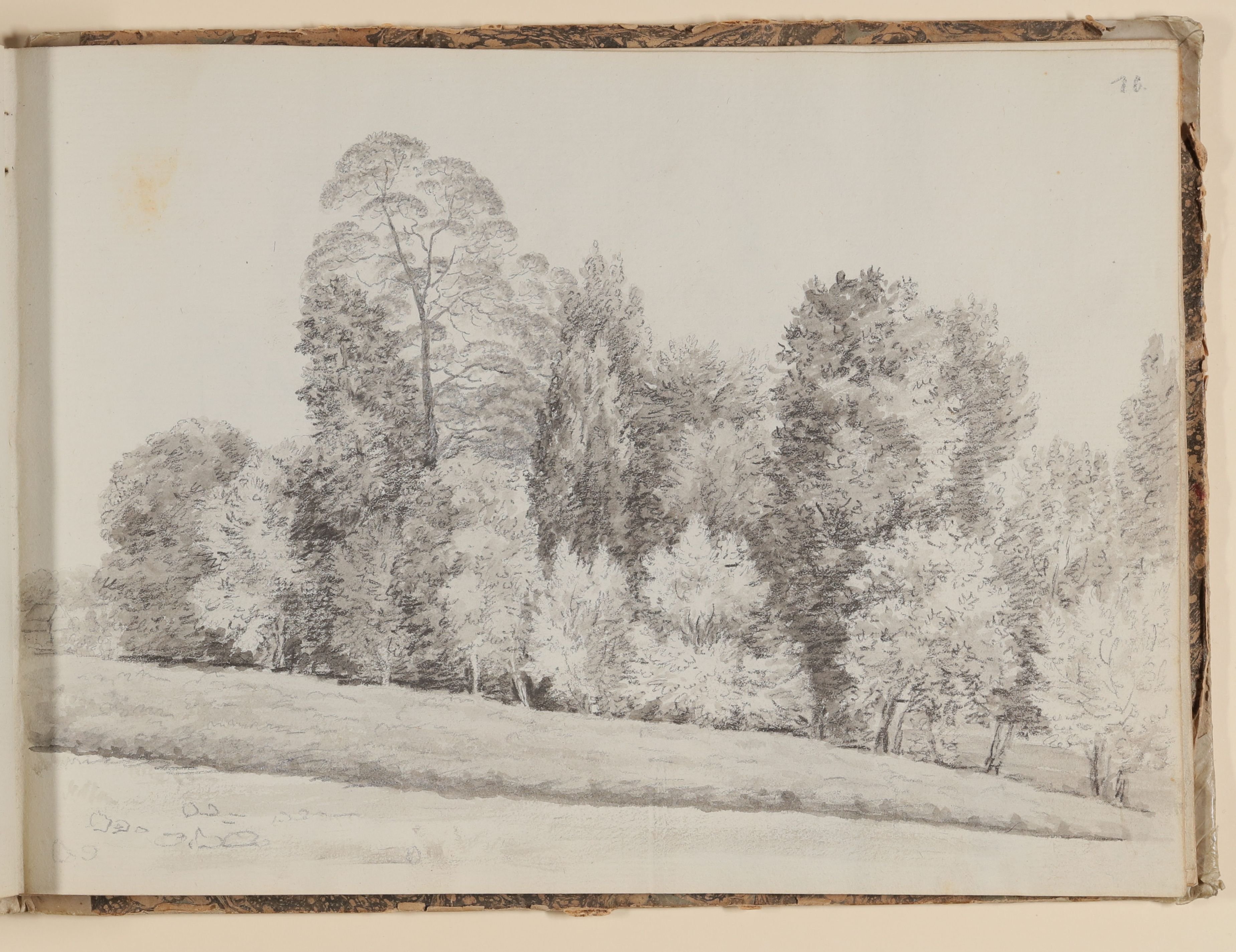 Rosette Städel, Parklandschaft mit Baumgruppe [aus einem Skizzenbuch der Rosette Städel, Blatt 10]