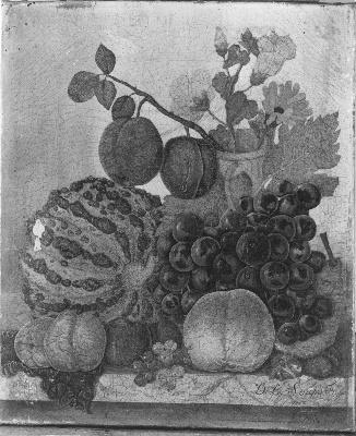Diëgo Lopez Suasso, Vruchten