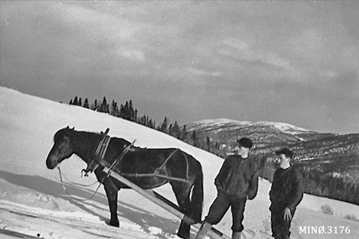Jo Øvergaard, Tømmerkjøring i Øverbylia 1936