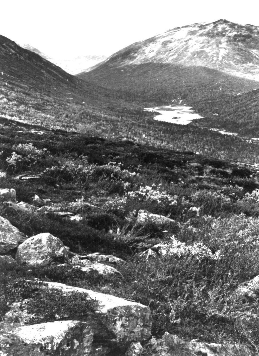 Anna Grostøl, Skjåk, Oppland 1941. Oversiktsbilde fra Sota.