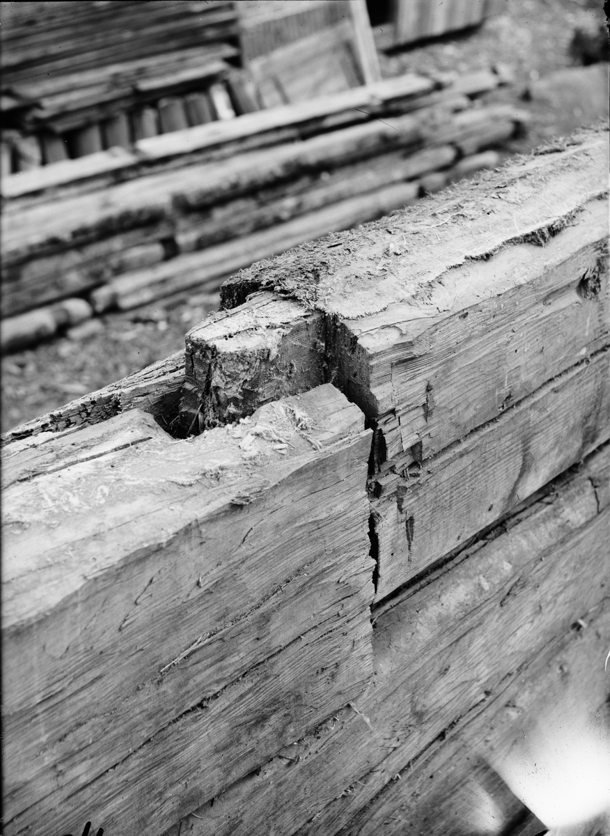 Paul Sandberg, Patch joint on outbuildings - now at the open-air museum Disagården - during dismantling in Gränby, Björklinge parish, Uppland