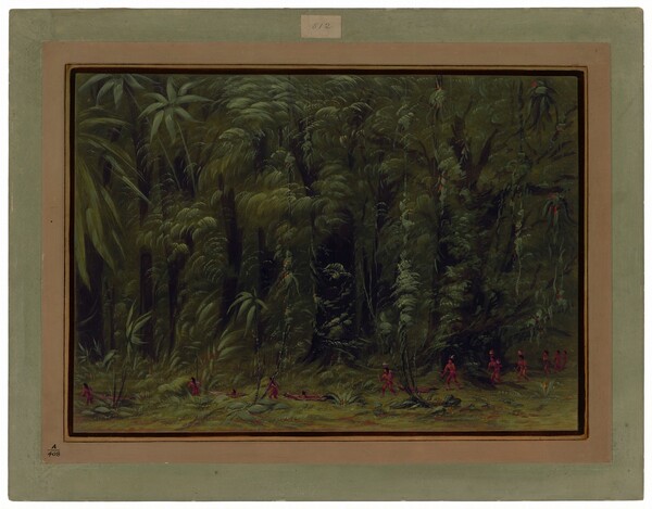 George Catlin, Interior of an Amazon Forest - Zurumati
