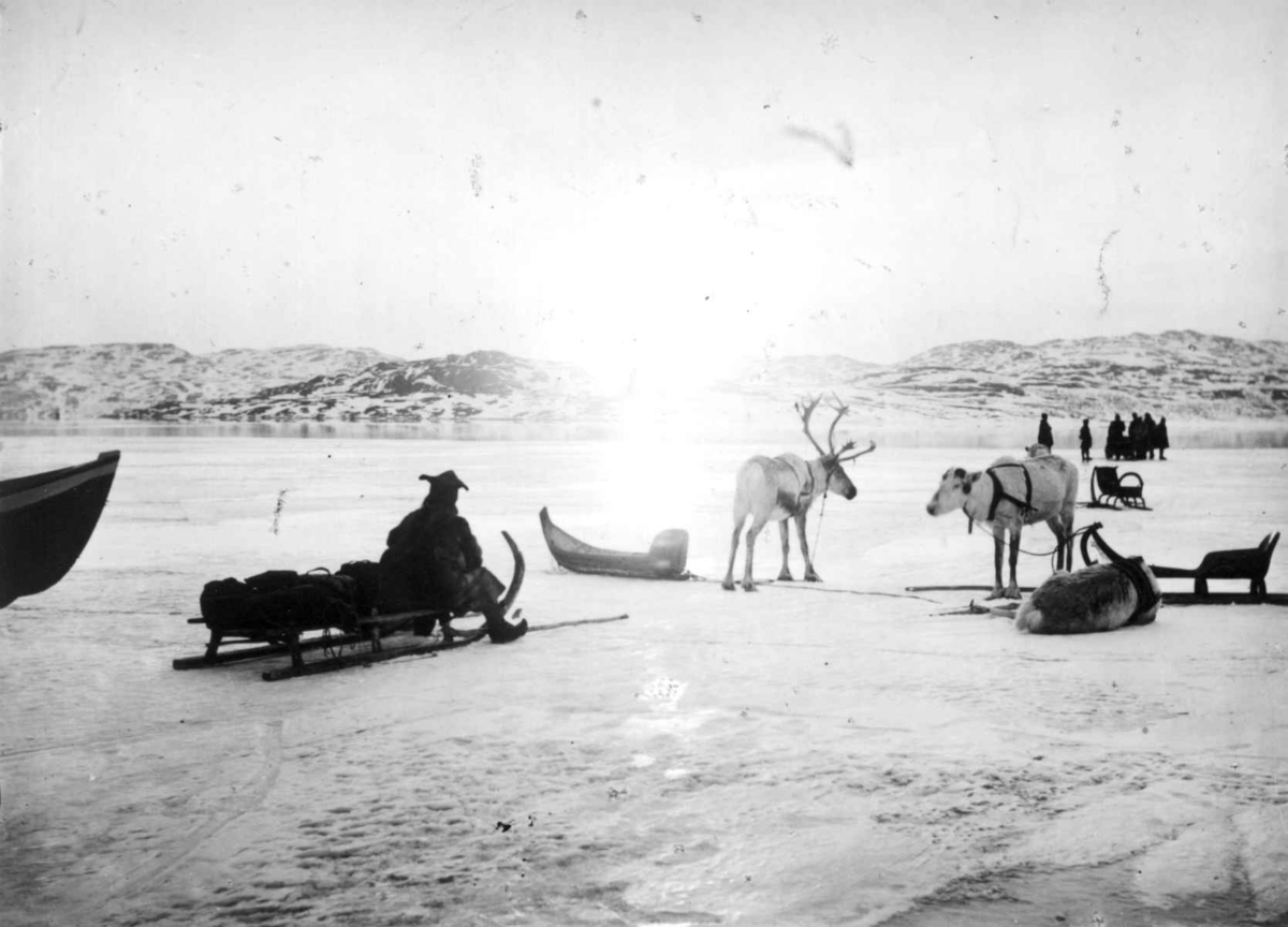 Ellisif Rannveig Wessel, Midnattssol over Bøkfjorden med reinsdyr og folk.