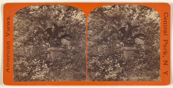 Edward and Henry T. Anthony & Co., Eagles and Goat. [Central Park, N.Y.]