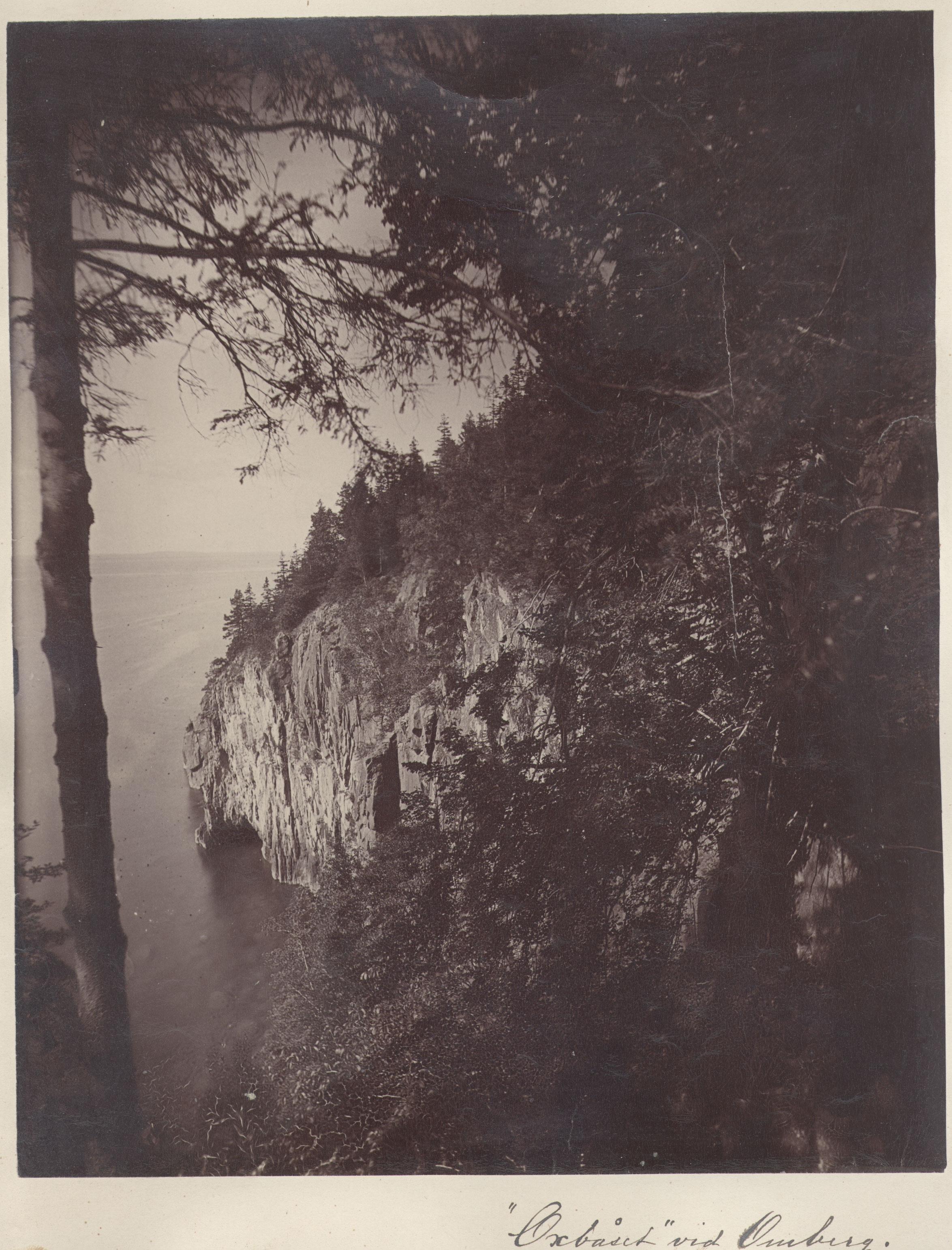 Carl Curman, Omberg