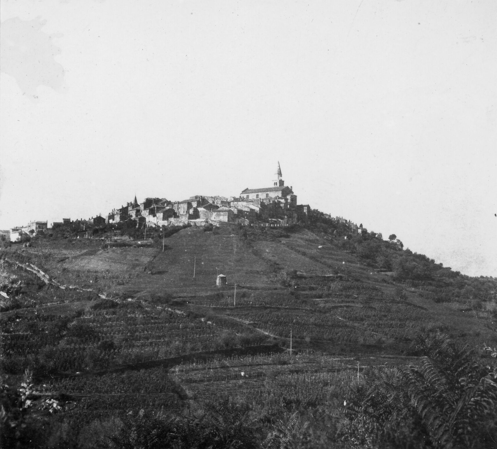Branko Fučić, Buje, panorama mjesta