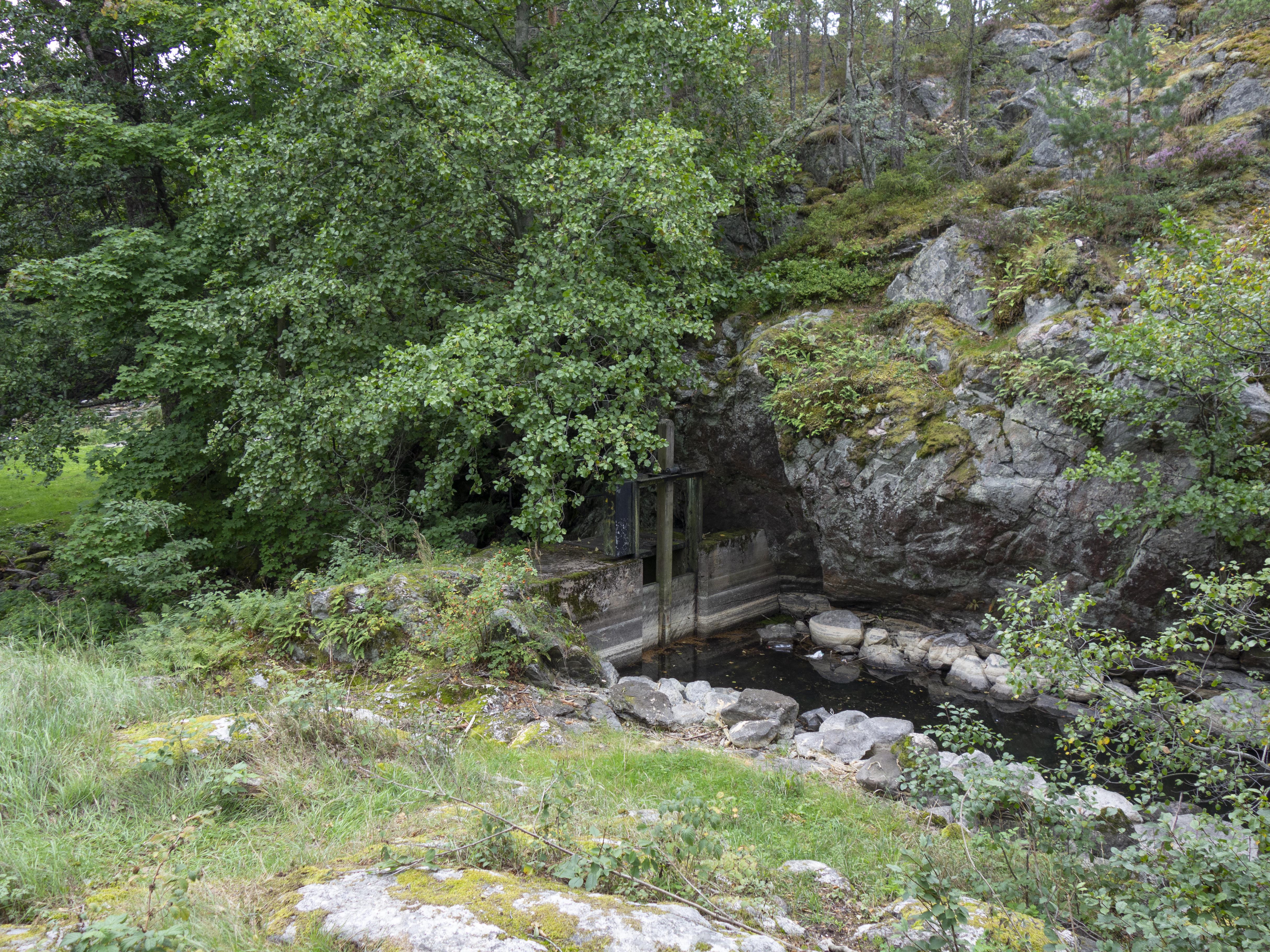 Leif Gren, Nyfors