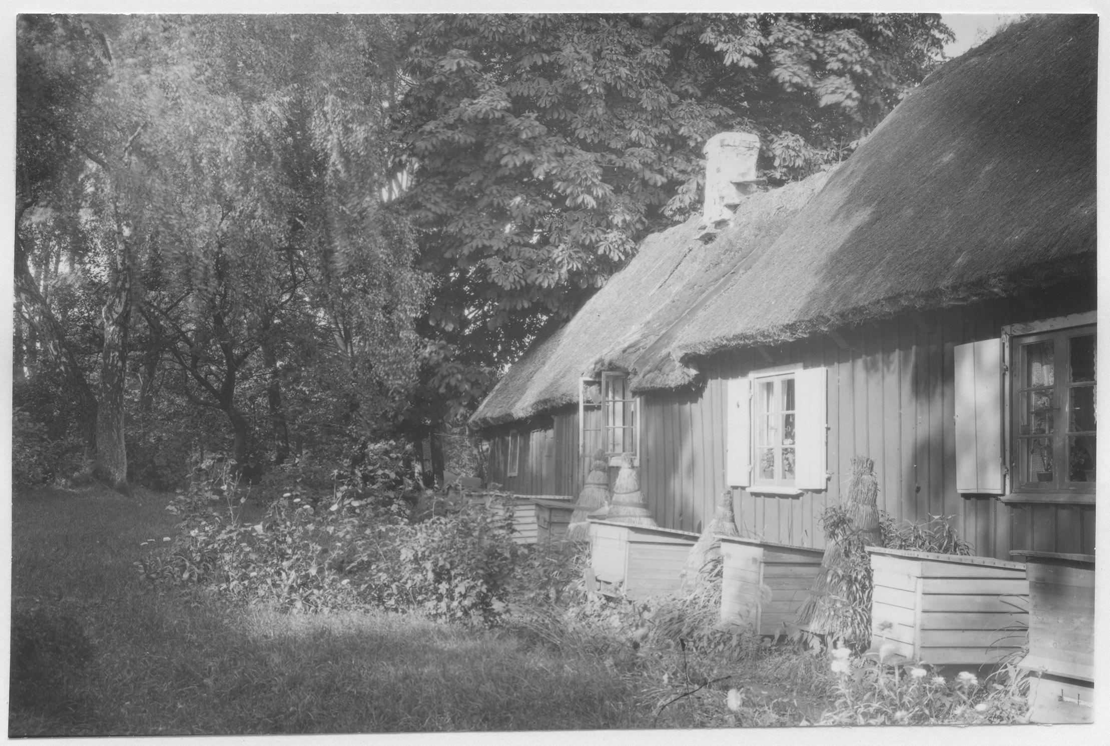 Mårten Sjöbeck, Erikstorp