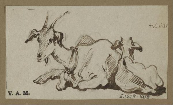 George Chinnery, Two goats