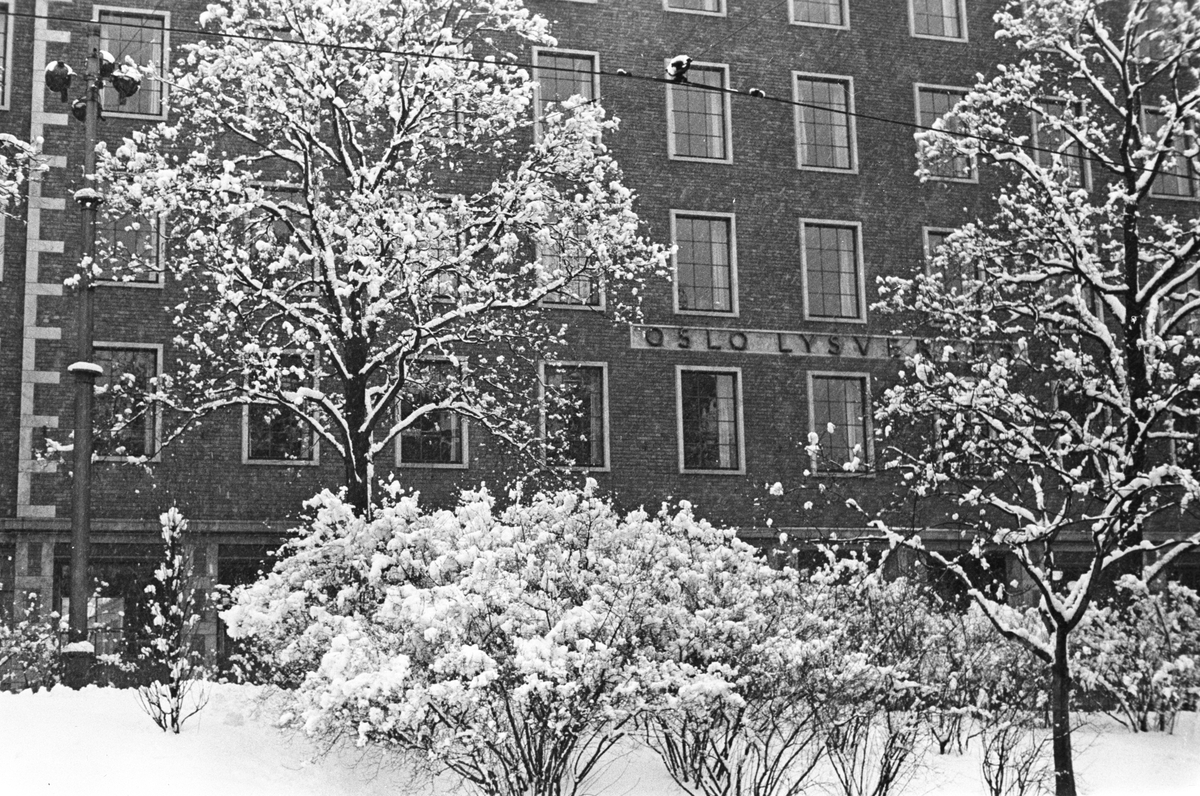 Anders Beer Wilse, Prot: Vinter