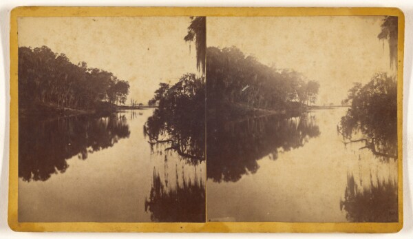 Unknown, [View on St. John's River, Florida (?)]