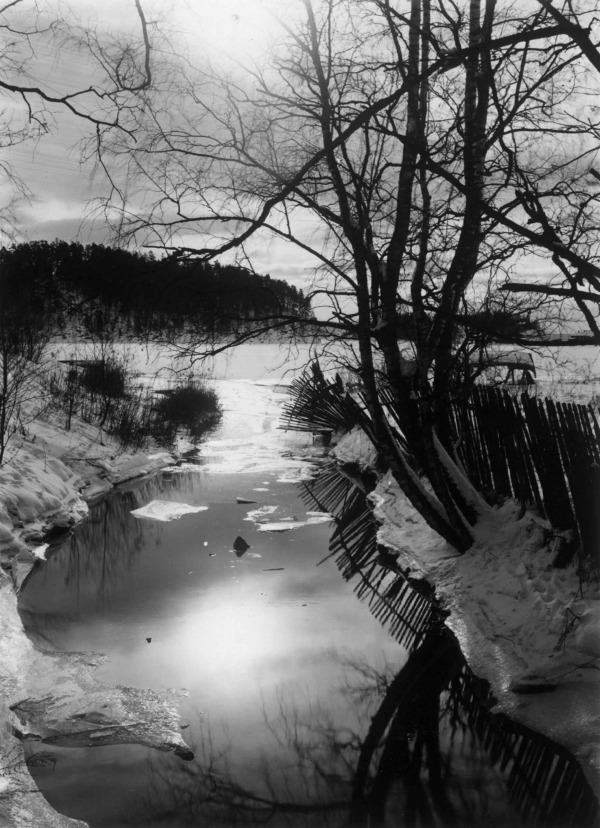Hermann Christian Neupert, Merrabekken og Bestumkilen, Oslo 1908-1910. Vinterbilde med speilbilde i vannet. Utsikt mot Bygdøy og Killingen.
