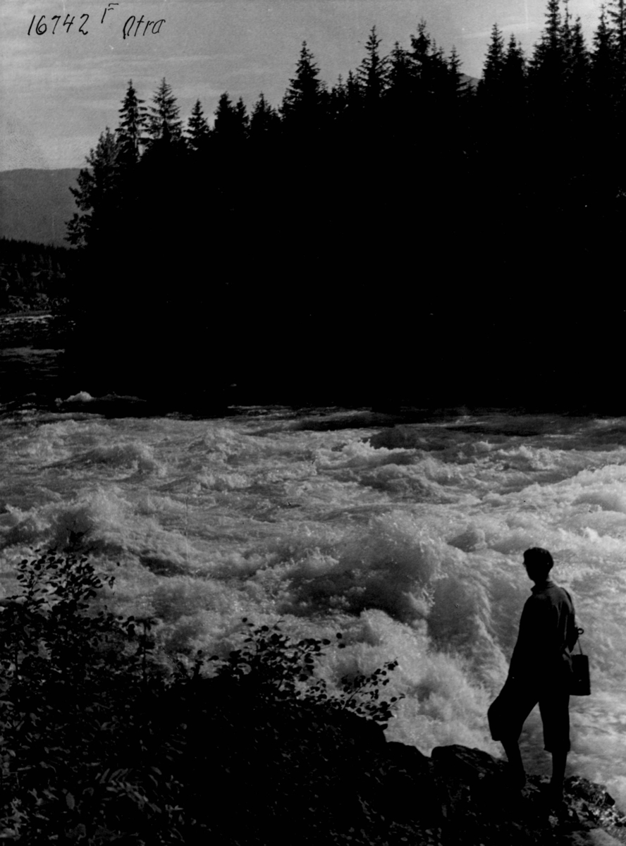 Anders Beer Wilse, Otra