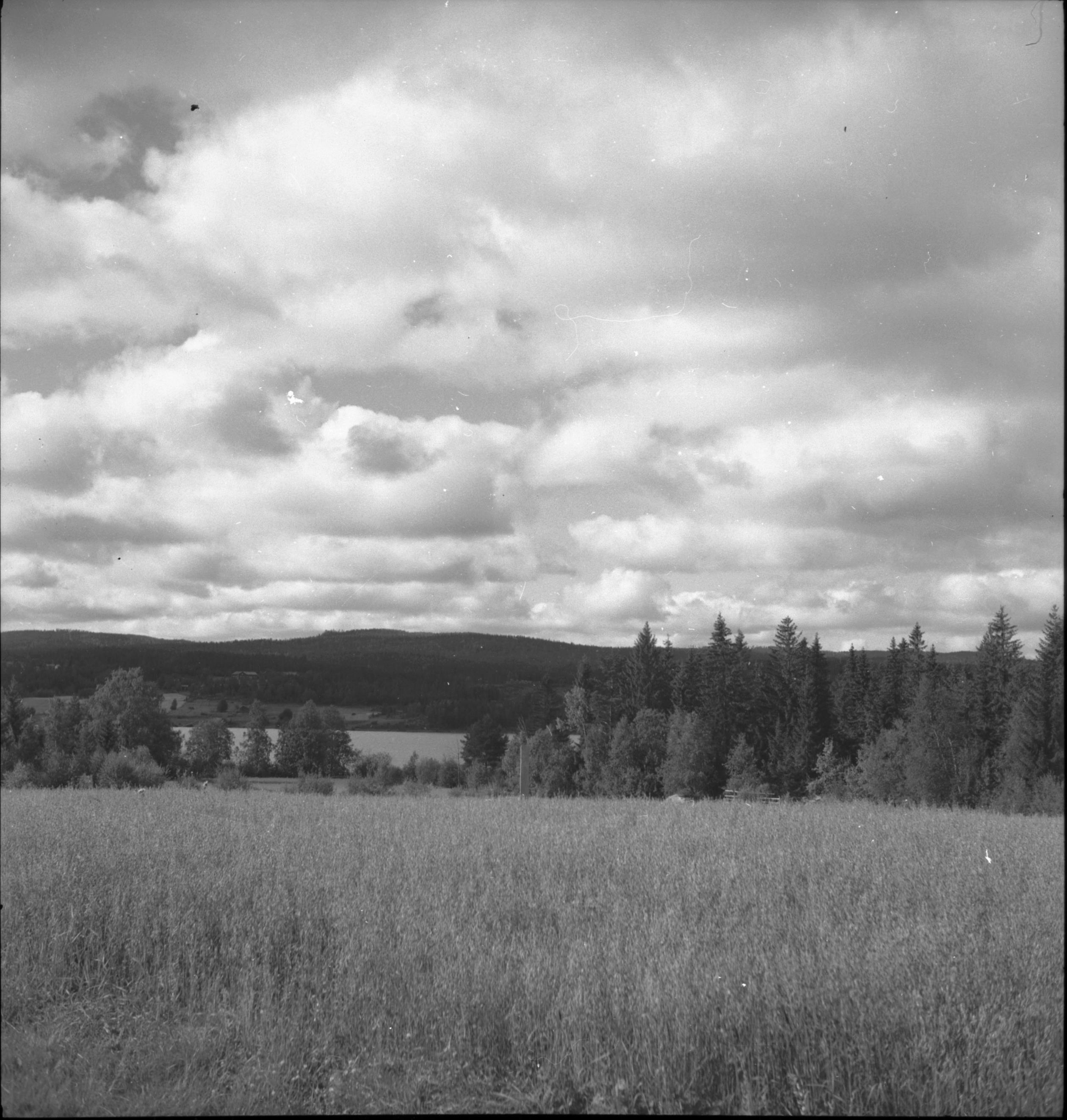 Iwar Anderson, Borgsjö kyrka