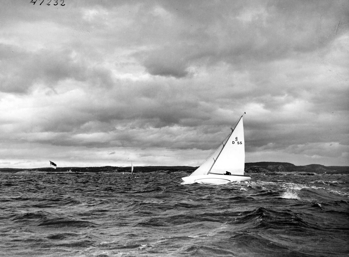 Anders Beer Wilse, Seilsport