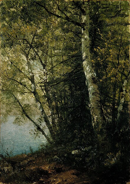 John Frederick Kensett, Study of Beeches