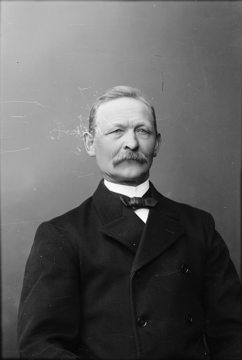 Skötsner-Edhlund, Ateljéporträtt - häradsdomare Johan Mattson från Sandby, Hökhuvuds socken, Uppland