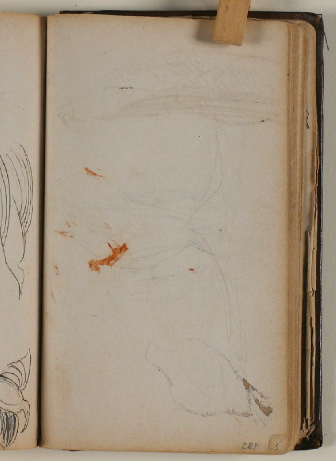 Niels Larsen Stevns, Let blyantsrids (studie af fugl?)