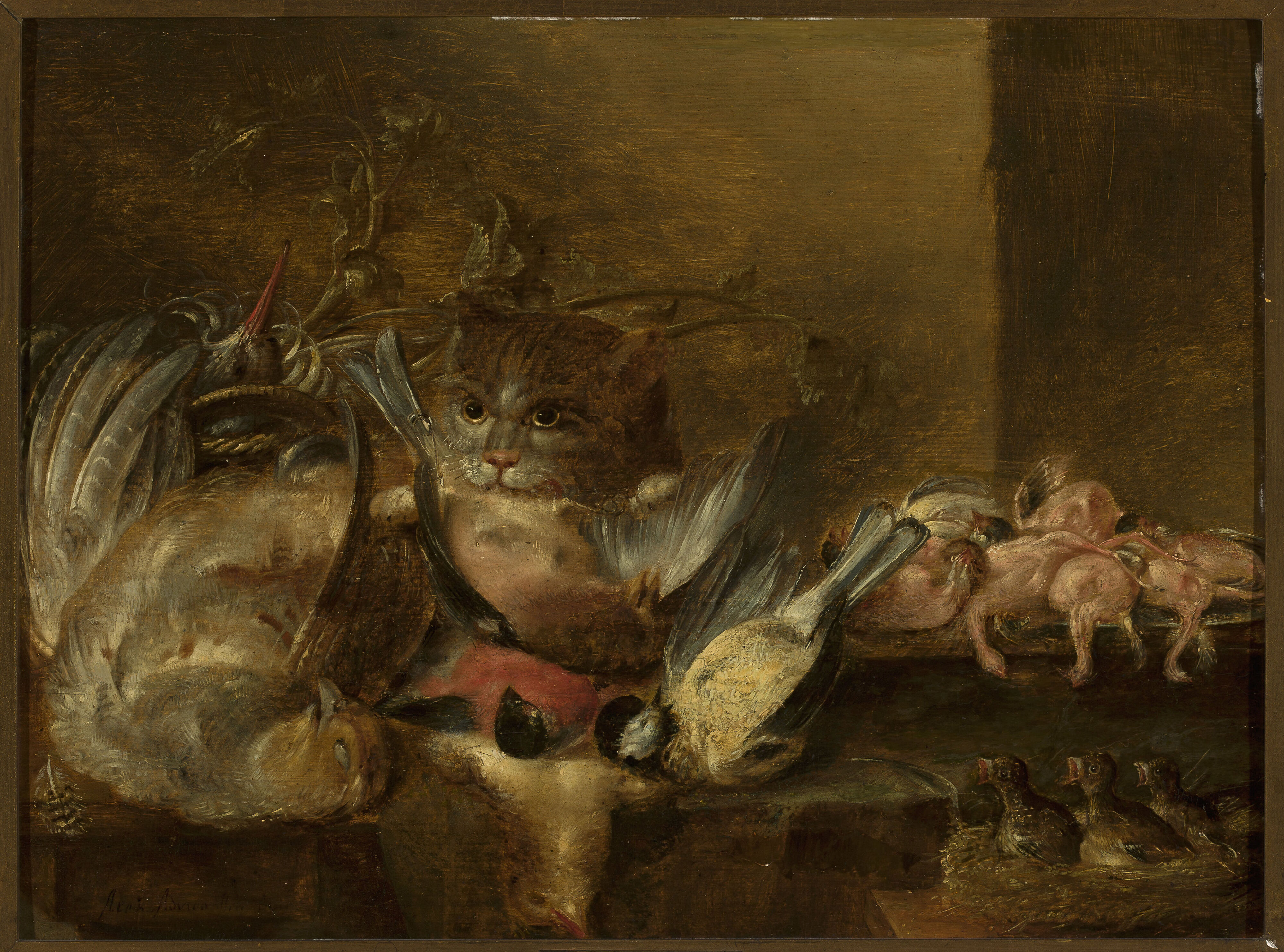 Alexander Adriaenssen, Dead birds and a cat