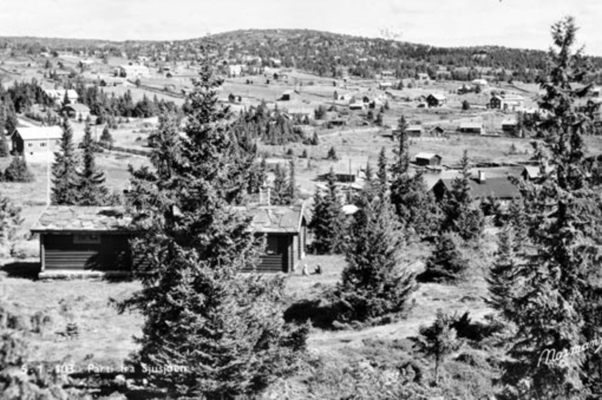 Anno Domkirkeodden, Oversikt, Sjusjøen, Ringsaker, hyttebebyggelse, hotell.