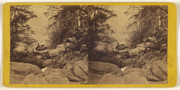 Edward and Henry T. Anthony & Co., The Glens of the Catskills. View from the top of the Five Cascades, looking down Haines Gorge.