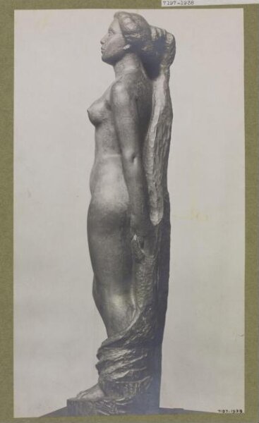 unknown, Photograph