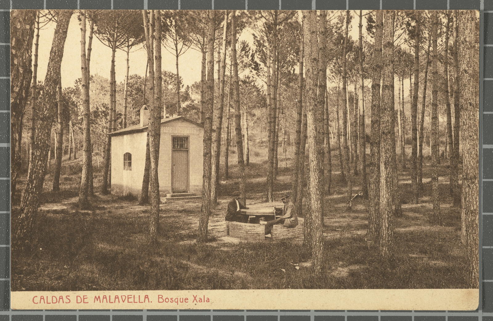 Desconegut, Caldas de Malavella. Bosque Xala