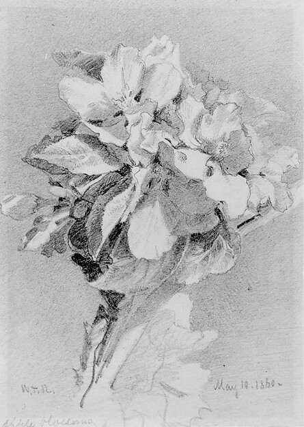 William Trost Richards, Apple Blossoms