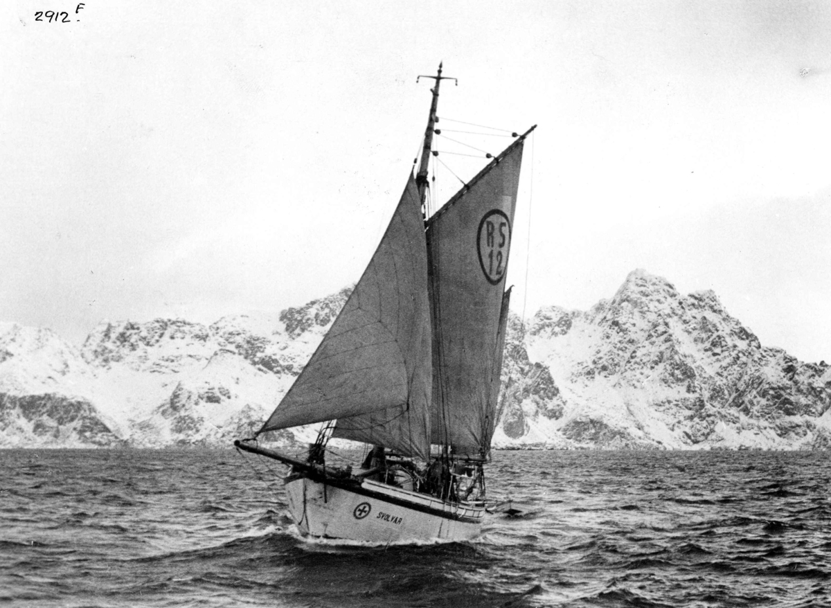 Anders Beer Wilse, Redningsskoyter